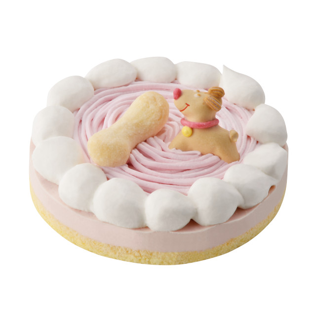 犬猫用記念日ケーキ