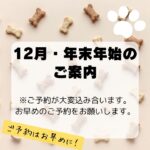 12月年末年始トリミング予約_名古屋DOGCATCOCO