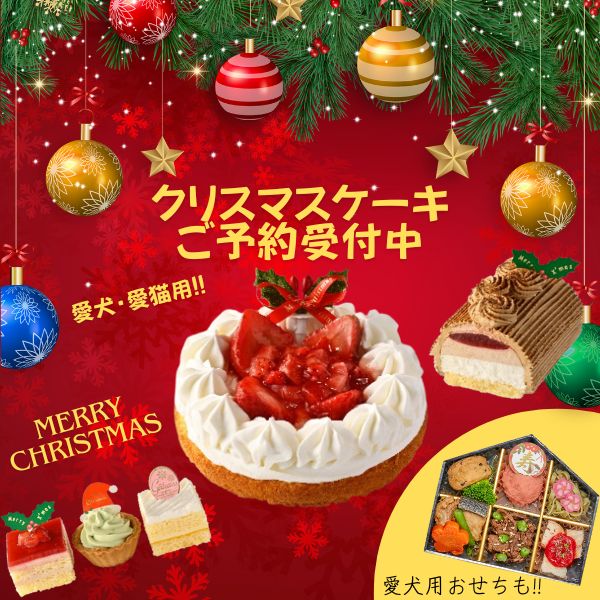 2024愛犬用クリスマスケーキ