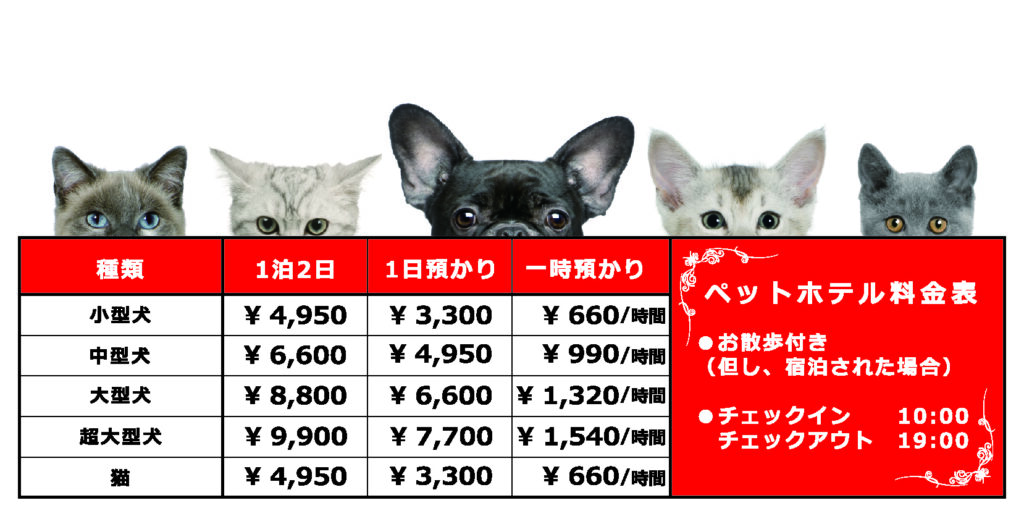 名古屋ペットホテルDOGCATCOCO