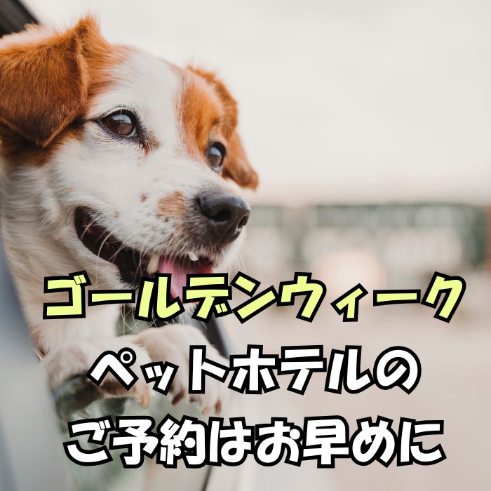 お早めに】2026GW ペットホテルのご予約について | DOGCAT COCO