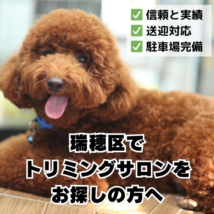 瑞穂区でトリミングサロンをお探しの方へ_信頼と実績のDOGCATCOCO