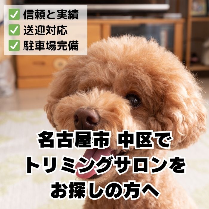 瑞穂区でトリミングサロンをお探しの方へ_信頼と実績のDOGCATCOCO