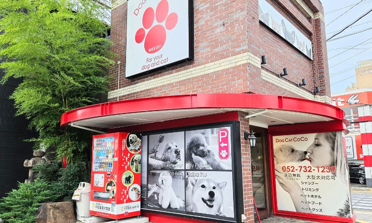 名古屋市でトリミングならDOGCAT COCO