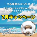 トリミングキャンペーン2025年7月