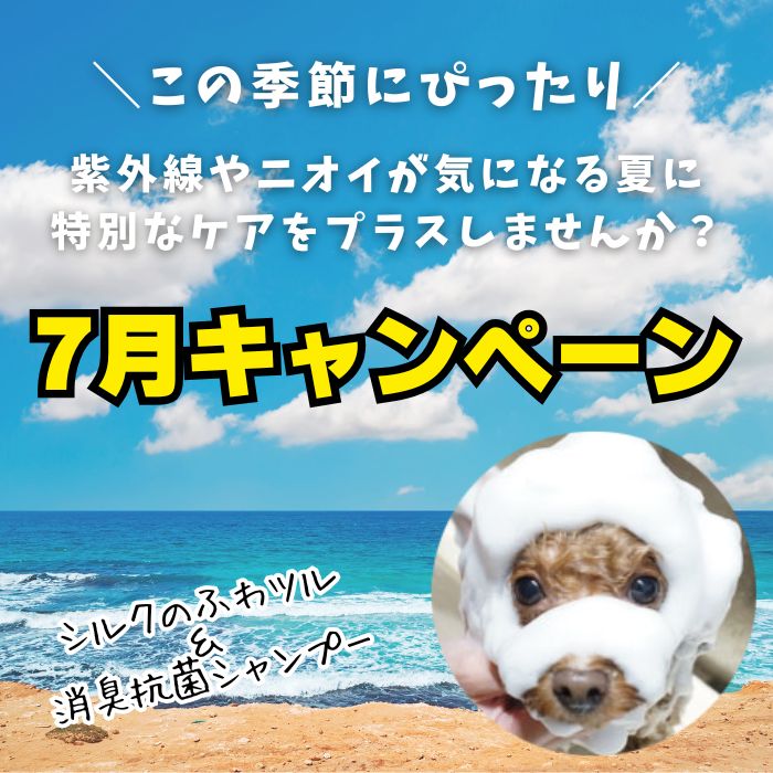 トリミングキャンペーン2025年7月