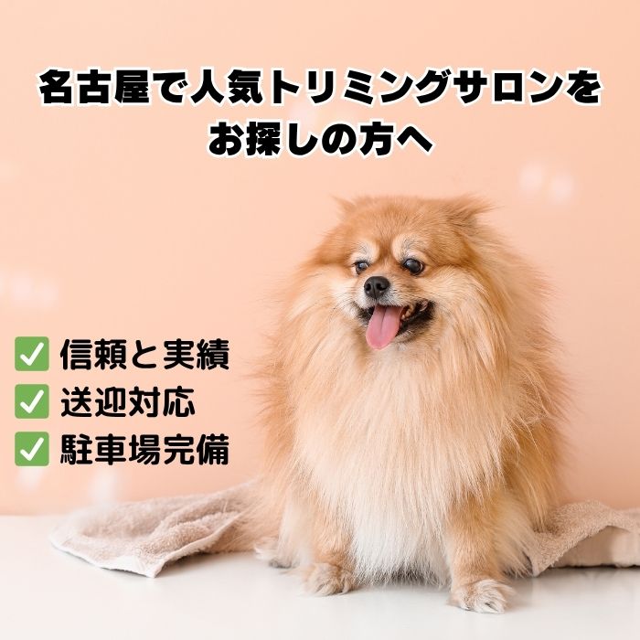 名古屋でトリミングサロンをお探しの方へ_信頼と実績のDOGCATCOCO