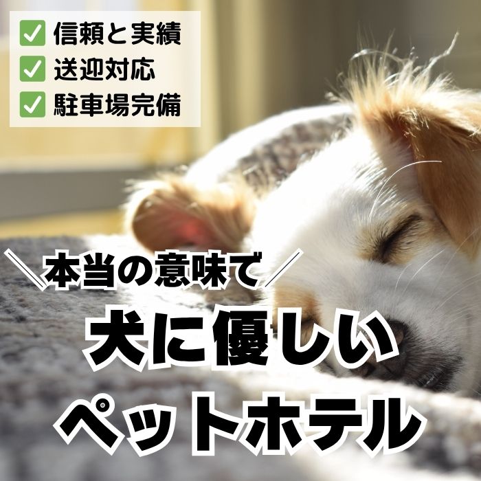 犬にやさしいペットホテル名古屋DOGCATCOCO
