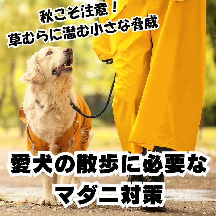 愛犬と飼い主を守るマダニ対策