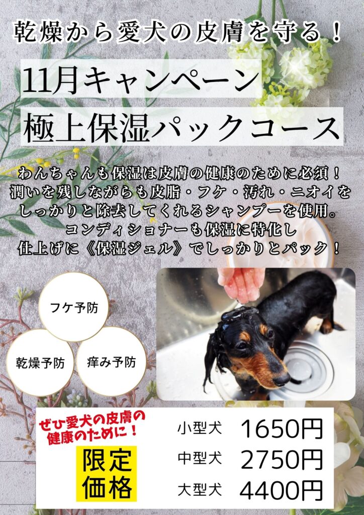 トリミングキャンペーン2025年11月