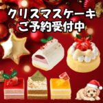 2025年犬猫用クリスマスケーキ