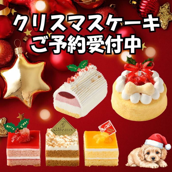2025年犬猫用クリスマスケーキ