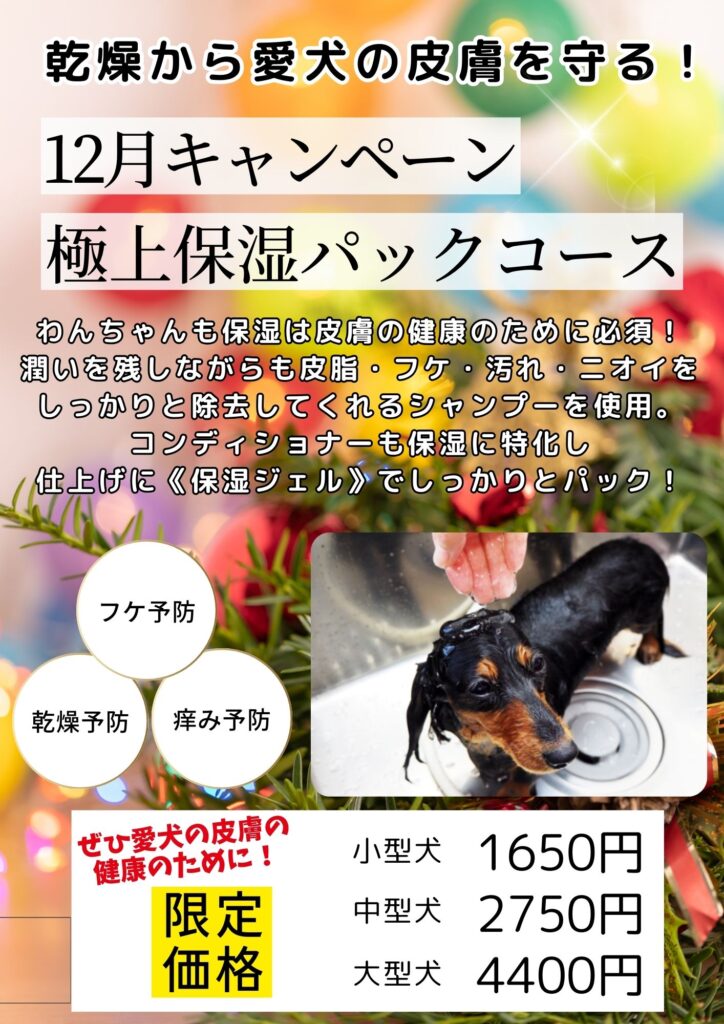 トリミングキャンペーン2025年11月