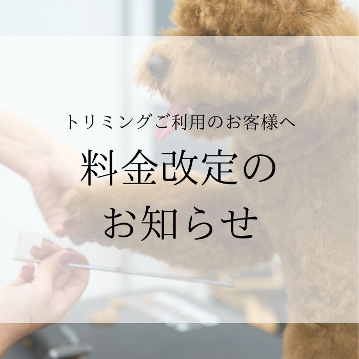 トリミング料金改定のお知らせ2025年11月