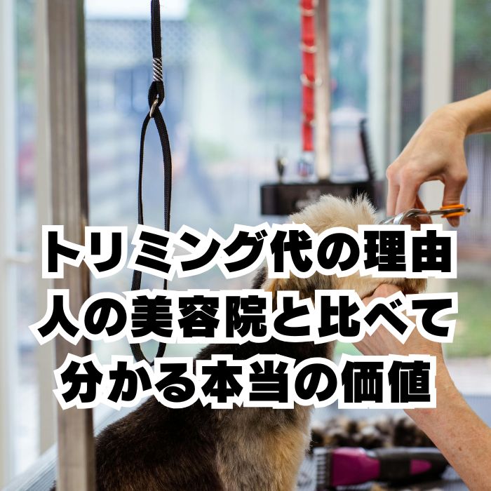 トリミング代金の理由